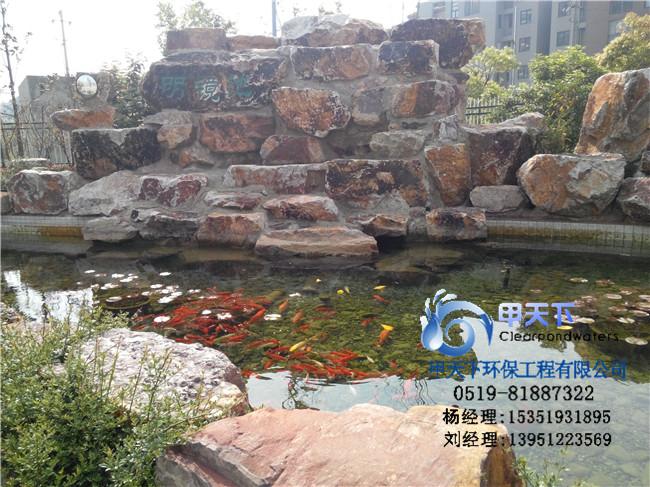 供应衢州市景观鱼池水净化技术