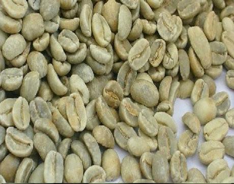 供应用于烘焙的进口咖啡生豆图片