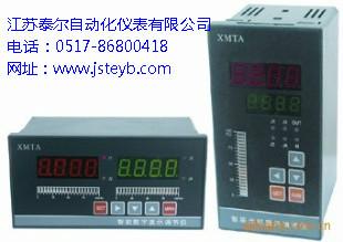 供应TE-XMTA-9000系列智能光柱显示调节仪