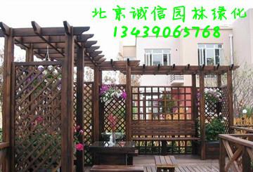 供应北京庭院绿化出售绿化树木花卉
