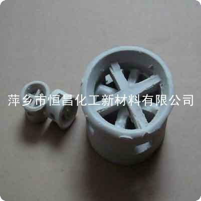 供应萍乡恒昌25mm陶瓷阶梯环填料图片