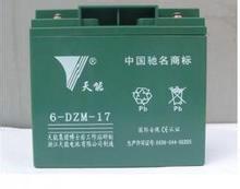 供应用于蓄电池的天能蓄电池8-DZM-14