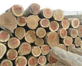 供应广州黄埔港木材进口报关代理公司，原木进口清关代理公司图片