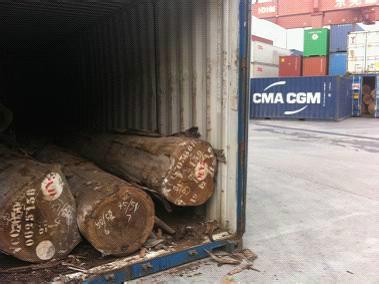 北美木材上海进口报关批发
