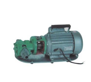 供应用于的WCB系列微型齿轮式输油泵图片