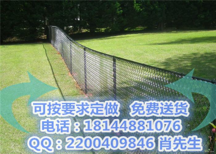 供应清远公园围栏网定做生产/阳江草坪隔离网安装方法