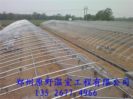 郑州市智能温室大棚建造厂家食用菌大棚安装、大棚骨架 智能温室大棚建造