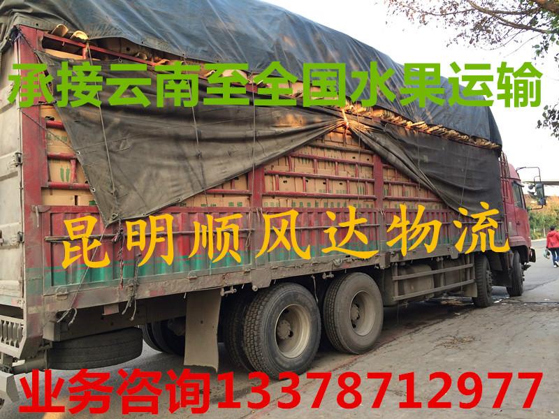 供应特快专线昆明到重庆沙坪坝区货运站物流公司，蔬果运输，设备运输