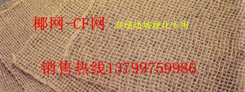 供应四川哪有卖CF网椰棕网纤维网，四川园林护坡专业CF网椰网价格