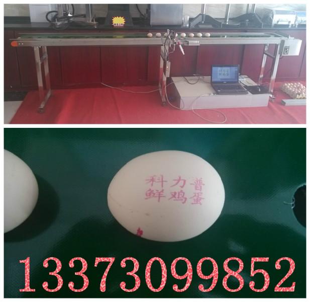 供应浙江小型鸡蛋信息打码机图片