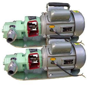 供应WCB-30手提泵，转子泵豆浆泵高温油泵