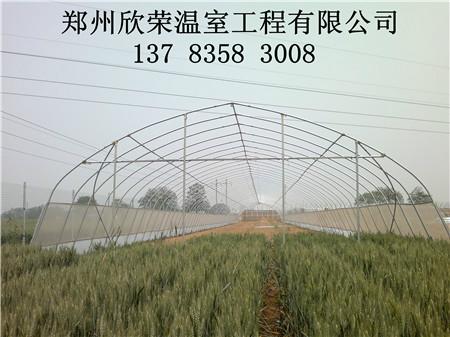 郑州市郑州蔬菜大棚建设几字钢温室建造厂家