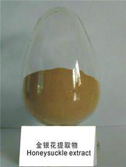 西安市金银花提取物厂家供应用于消炎抗菌的金银花提取物