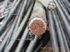 供应苏州电缆线回收价格苏州二手电缆线回收公司图片