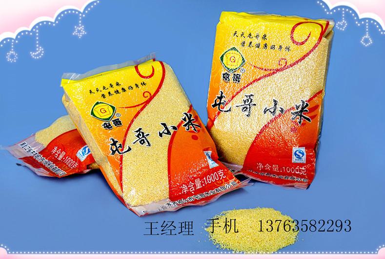 供应小包装黄小米，小包装黄小米价格，小包装黄小米厂家，