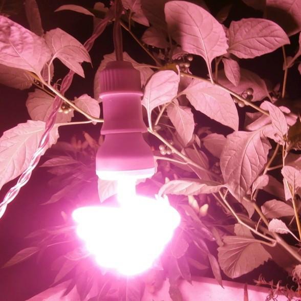 扬州市植物灯生产商厂家供应植物灯生产商，江苏植物灯生产商，植物灯生产商哪里有