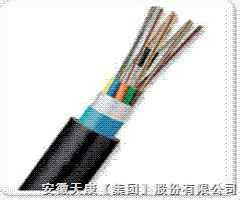 供应GYTA光缆，安徽天康GYTA光缆，GYTA光缆厂家，多少钱