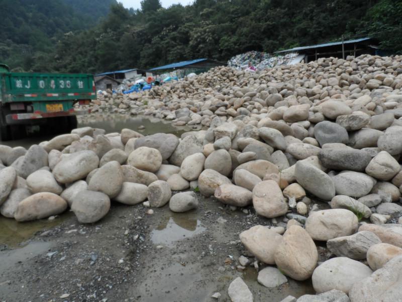 供应江苏上海哪里的鹅卵石最好,生产江苏上海鹅卵石的厂家江苏上海鹅卵石