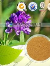 紫花苜蓿提取物,5，20，50苜蓿皂苷