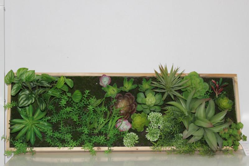 供应仿真植物墙套装挂壁绿化植物图片