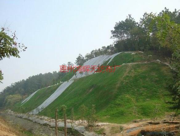 惠州农业用林地覆盖护坡用无纺布批发
