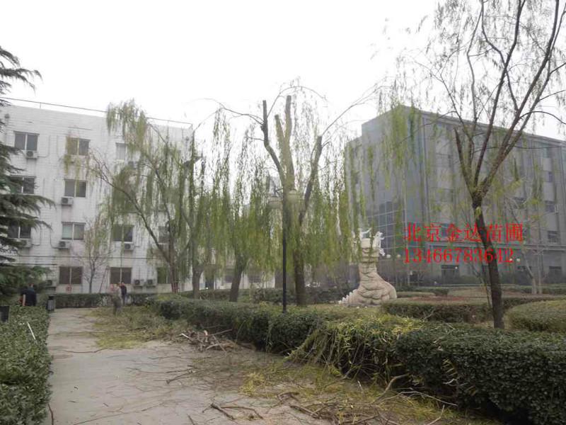 供应绿化养护 绿化养护公司 北京绿化养护公司