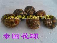 北京市进口泰国花螺厂家供应进口泰国花螺
