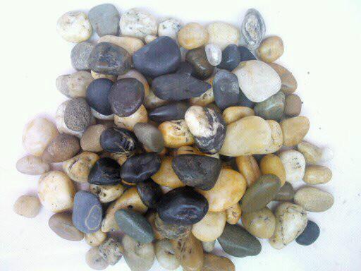 供应天然鹅卵石纯天然鹅卵石1-3cm,2-4cm,3-5cm铺路鹅卵石生产厂家