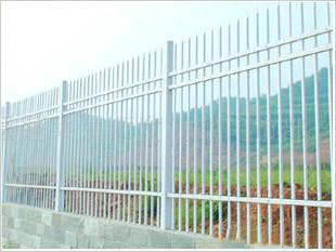 厂家供应锌钢护栏，工艺护栏，蓝飞护栏网，铁艺护栏厂家