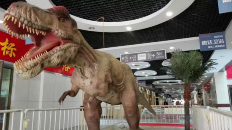 供应恐龙展览出租，上海恐龙展览出租，恐龙出租价格电话