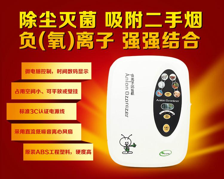 广东工厂供应果蔬解毒机臭氧洗菜机（可代理可贴牌）图片