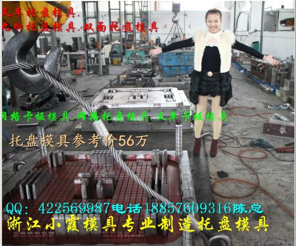 台州市1.2米田子注塑托盘模具厂家供应1.2米田子注塑托盘模具