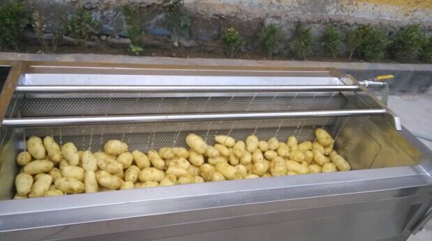 供应土豆清洗去皮机。
