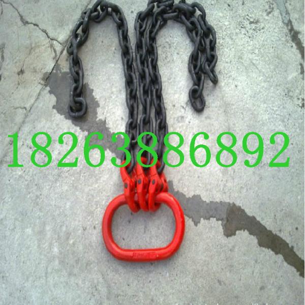 供应非标定做起重链条链条配套索具，传动链，输送链，锚链
