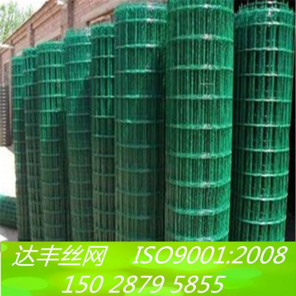供应涂塑焊接网厂绿色围栏网供应商