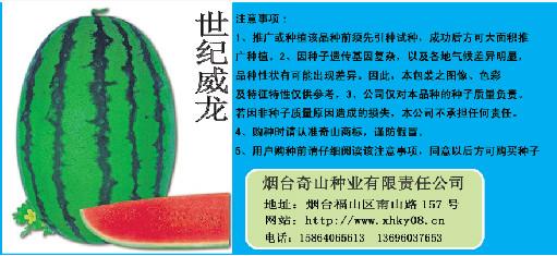 供应世纪威龙杂交西瓜种子果大、色绿、瓤红、耐旱、产量高图片