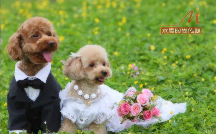 武汉市木犀时尚传媒创意婚礼策划案厂家