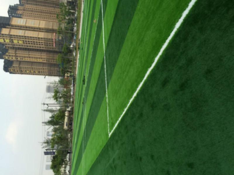 供应五人足球场草坪工程预算 广元足球场地面塑料草坪价格图片