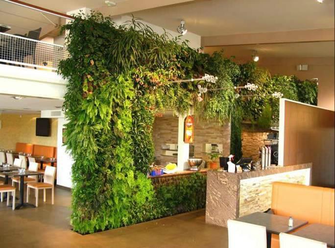 南宁市餐饮植物屏风植物绿墙植物墙隔断厂家供应餐饮植物屏风植物绿墙植物墙隔断