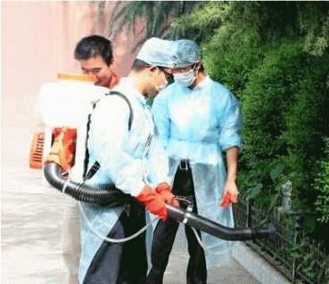 深圳杀虫公司如何对环境消毒批发