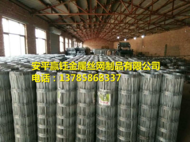 供应北京运动场铁丝网厂家直销图片