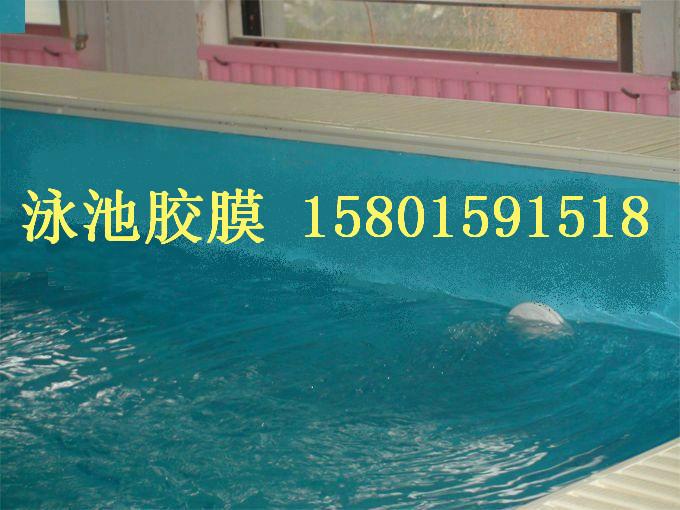 供应北京泳之漮泳池地胶板，泳池地垫，防水卷材