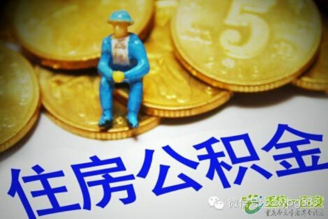 【福州哪里可以缴社保医保公积金图片大全】福