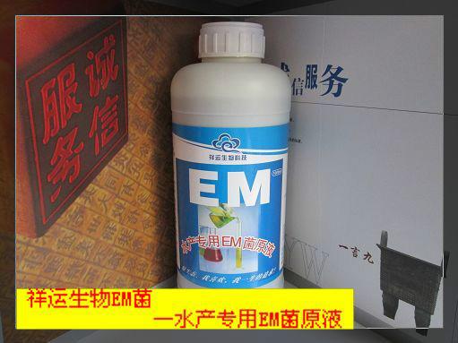 微生物调水剂就是水产专用的EM菌液批发