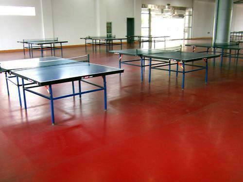 供应乒乓球室内pvc地板厂家