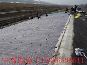 供应天津绿化毯应，天津绿化毯施工，天津绿化毯的使用范围