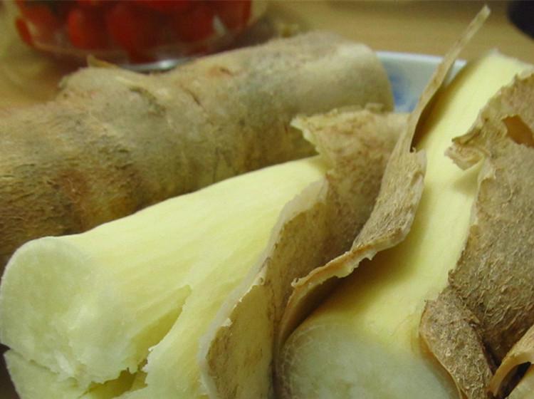 钦州市黄面包木薯种苗价格厂家供应黄面包木薯种苗价格