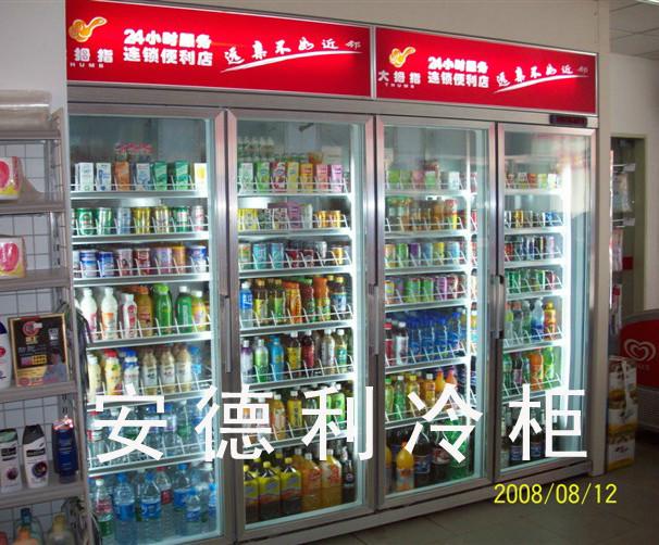供应新款商场饮料冷柜 便利店冷冻柜  直销饮料柜 性能稳定