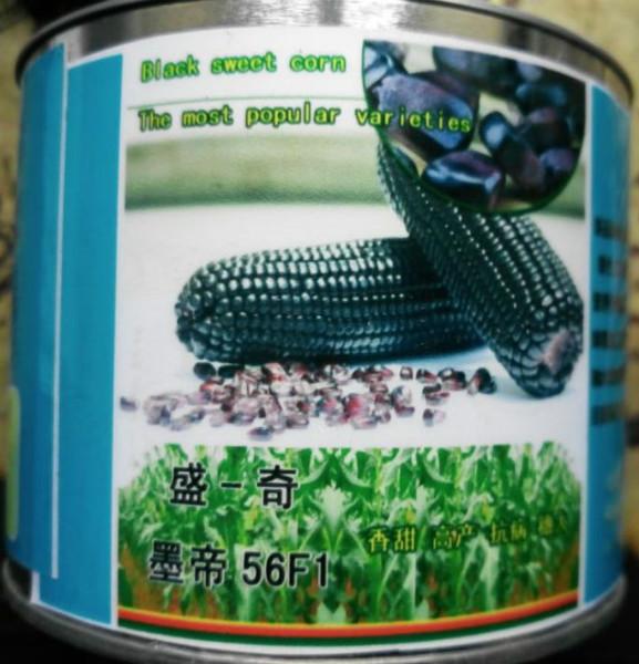 供应盛一奇黑帝56F1甜香糯黑玉米种子批发黑甜糯玉米种子不易脱色图片