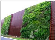 供应垂直绿化植物墙